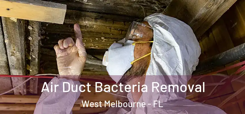 Air Duct Bacteria Removal West Melbourne - FL