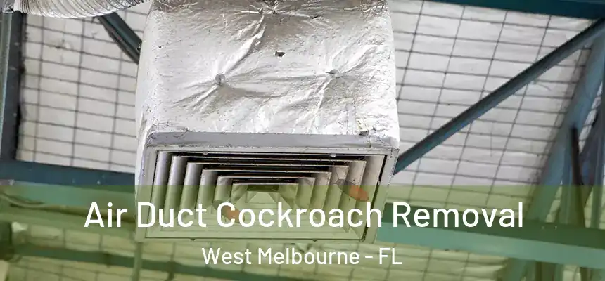 Air Duct Cockroach Removal West Melbourne - FL