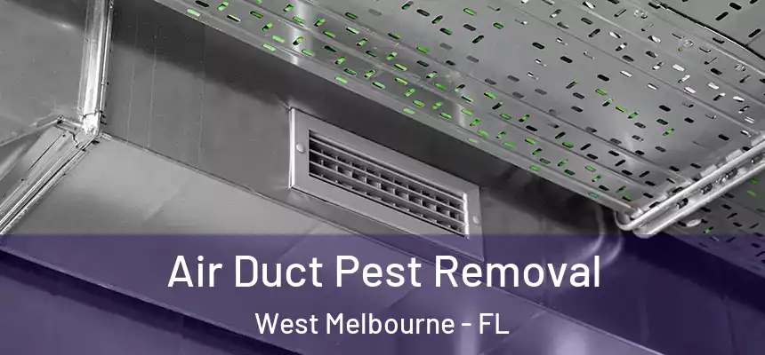 Air Duct Pest Removal West Melbourne - FL