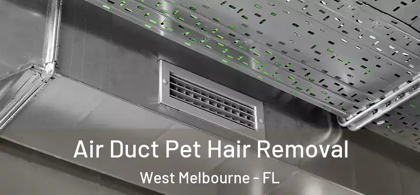 Air Duct Pet Hair Removal West Melbourne - FL