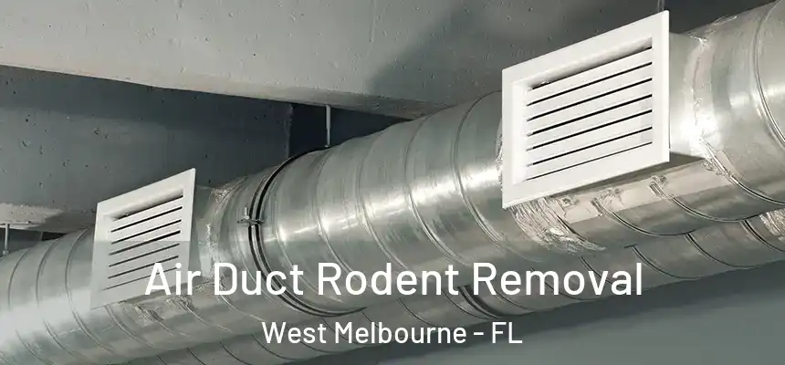 Air Duct Rodent Removal West Melbourne - FL