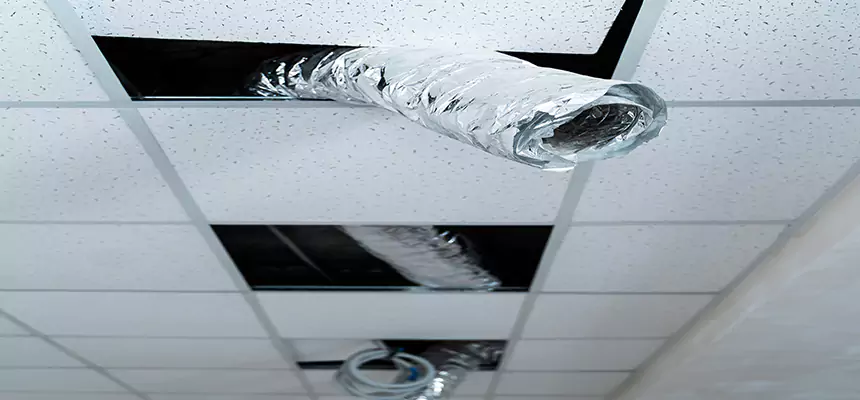 Affordable HVAC Sanitizing After Pest Removal in West Melbourne
