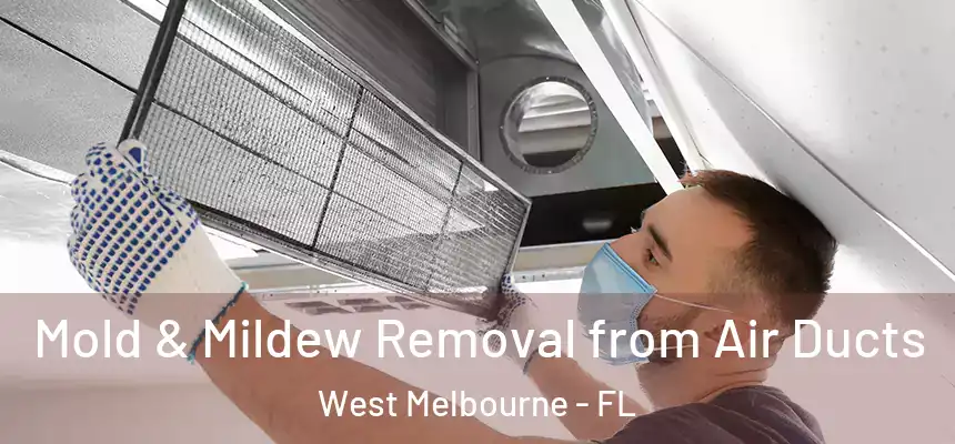 Mold & Mildew Removal from Air Ducts West Melbourne - FL