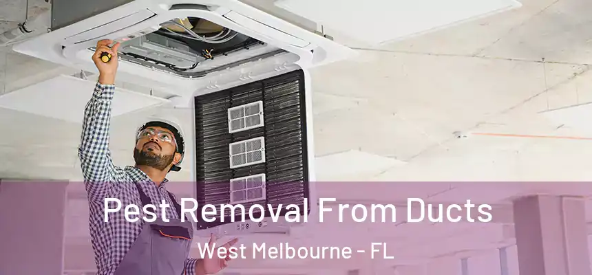 Pest Removal From Ducts West Melbourne - FL