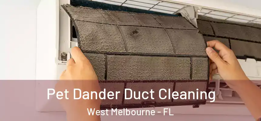 Pet Dander Duct Cleaning West Melbourne - FL