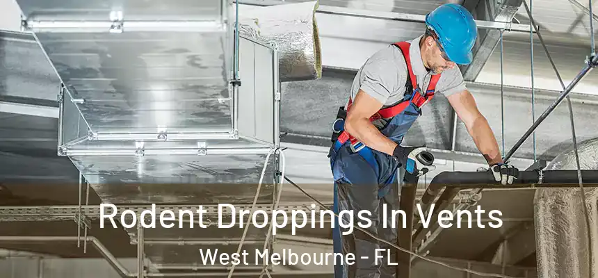 Rodent Droppings In Vents West Melbourne - FL